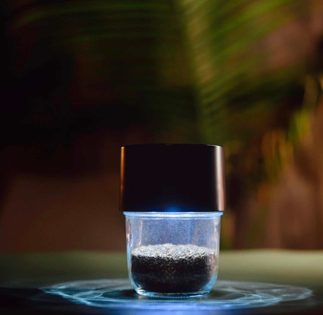 Mason Brite Magnifying Jar Black