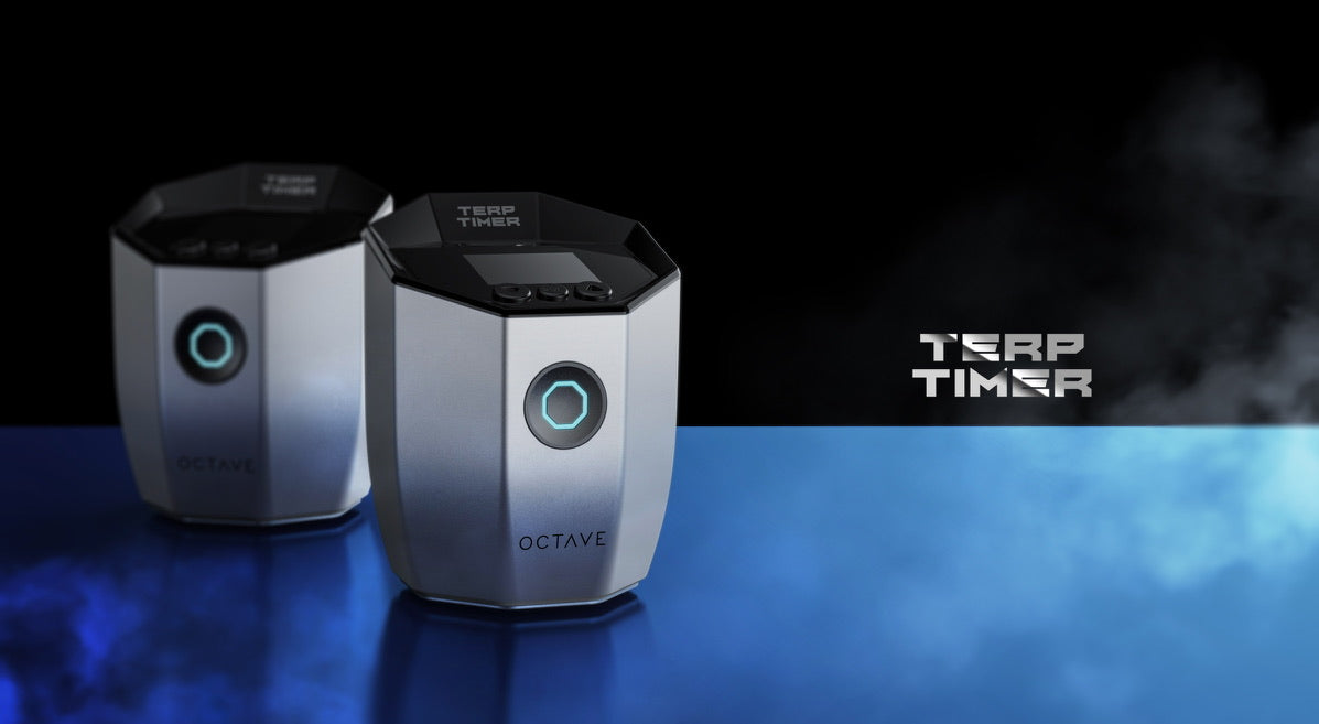 Terp Timer By OCTAVE (Glossy Black) - TheSmokeyMcPotz Collection